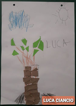 JUAN LUCA CIANCIO
