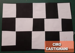 CIRO CASTIGNANI SALVO
