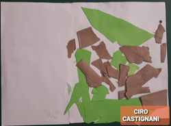 CIRO CASTIGNANI SALVO