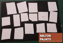 MILTON JESUS PAJARO