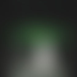 ALL I HEAR ARE CRICKETS by Lancee Whetman