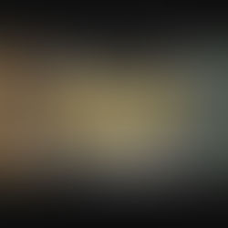 MESSAGE FOUND IN A BOTTLE by Gerry Sloan