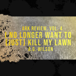 I NO LONGER WANT TO (JUST) KILL MY LAWN by A. G. Wilson