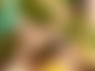 LEMON Öl - 5 geniale Anwendungen - frisch, natürlich, vielseitig