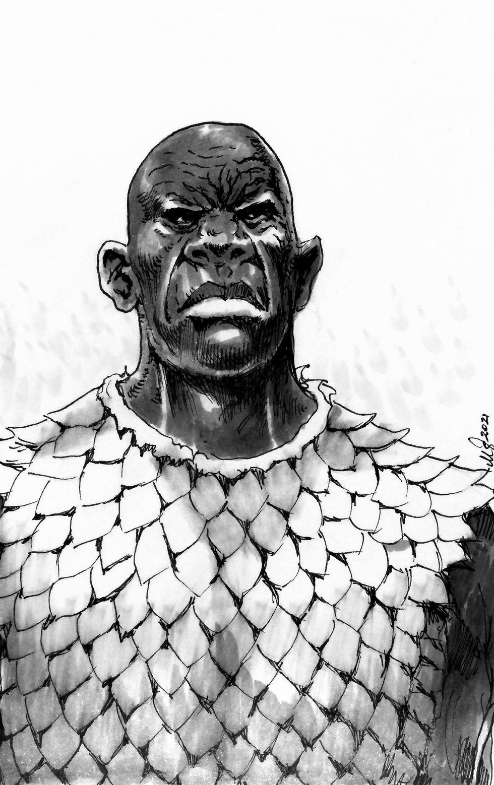 An African-inspired Priest character, with dark skin, a shaved head, and scale armor.