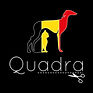 Logo Quadra Belgium