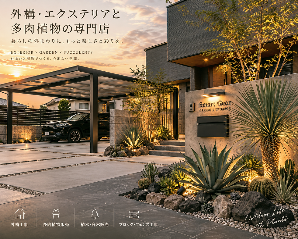 ライトに照らされた鉢植えのアガベ。埼玉県の外構工事で庭のアクセントに最適。
