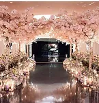 dreams.webp