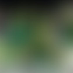 XFL: Week 6 Betting Primer