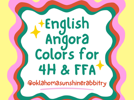English Angora Colors for 4H/FFA Kids