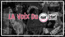 SUD AMAZON : Bulletin N°5