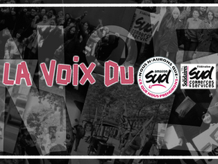 SUD AMAZON : Bulletin N°5