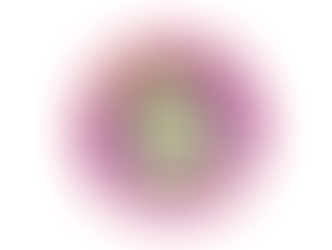 POST-CONGRÈS SOLIDAIRES : Et vogue le navire