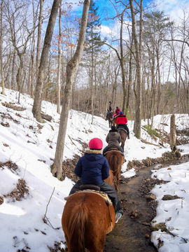 Winter horse rides in the National Forest - Scenic trail ride at Fort Valley Ranch & Campground winding through the picturesque trails of a National Park, surrounded by breathtaking mountain views near Shenandoah National Park.