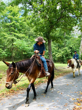 Horseback Rides | Fort Valley Ranch