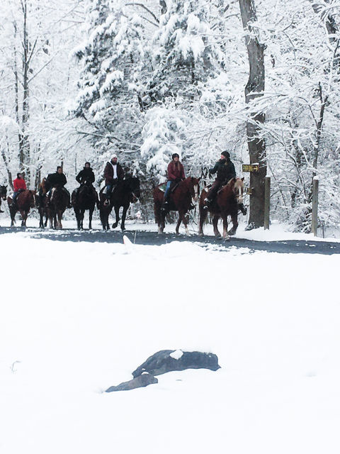 Magical winter wonderland - Scenic trail ride at Fort Valley Ranch & Campground winding through the picturesque trails of a National Park, surrounded by breathtaking mountain views near Shenandoah National Park.