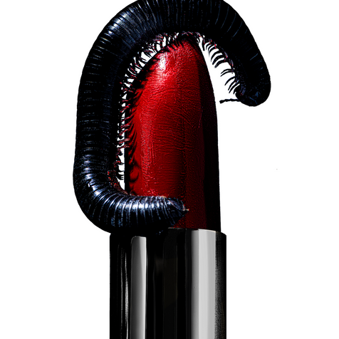 Still Life Project Sivan Roshian