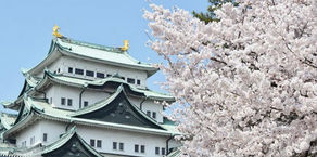 愛知県で開催される桜祭り2024