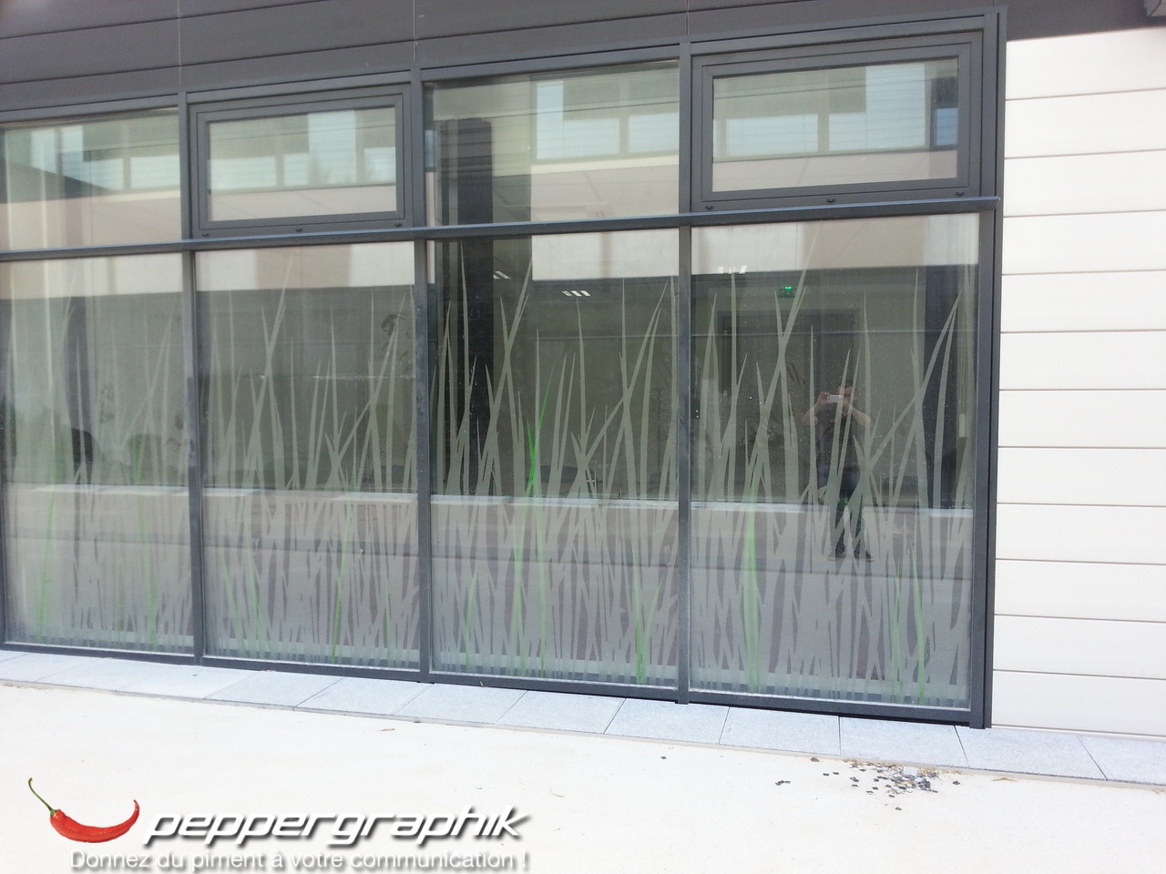 Vitrophanie décorative avec motif feuillages pour vitrine commerciale
