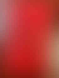 Red award case with gold Jamaican coat of arms and "ORDER OF THE NATION" text.