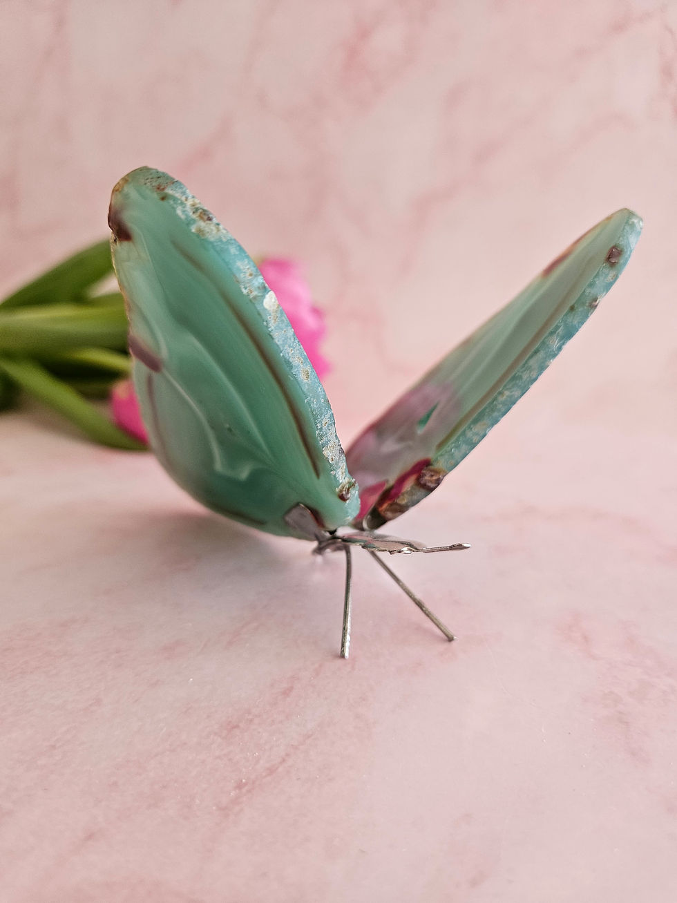 Thumbnail: Achat | Schmetterling