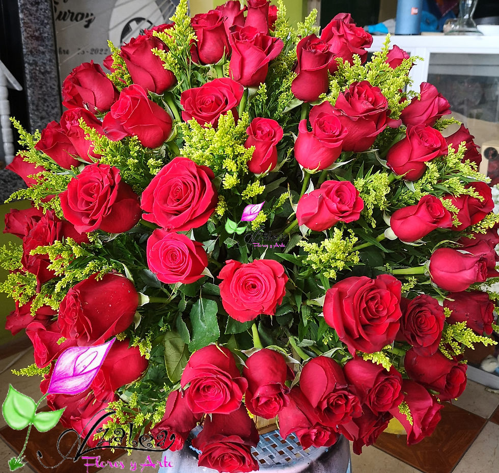 Miniatura: Redondos Rosas Rojas