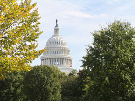 ¿Son comunes los cierres gubernamentales?