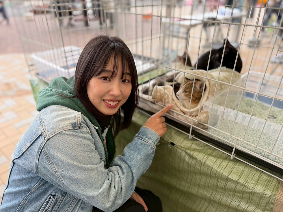 わんにゃんフェスティバルin防府競輪場