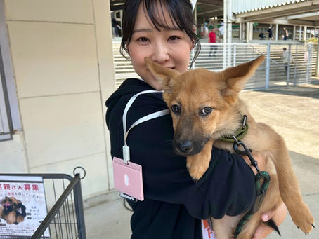 わんにゃんフェスティバルin高松競輪場