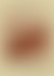 30 декабря в Свияжске будет открыта историко-документальная выставка «СВИЯЖСК: ГОД 1917»