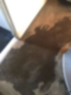 water-damage-on-rug-in-family-room-2022-10-26-05-51-55-utc