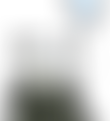 বোধিস্বত্ব