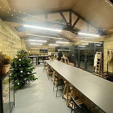An image of the studio decorated with a Christmas tree and fairy lights
