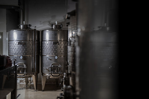 cantina-acciaio.jpg