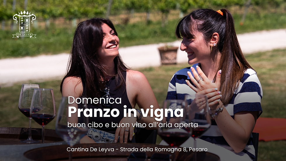 Pranzo in vigna
