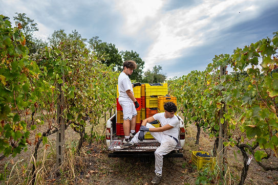 azienda.jpg