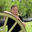 Writer: JWickman