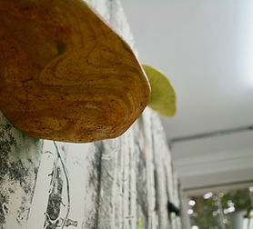 IMG_4820.jpeg