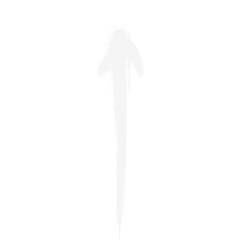 seta-tinta