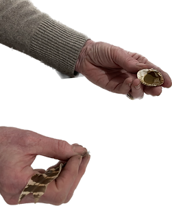 Subject 78.png