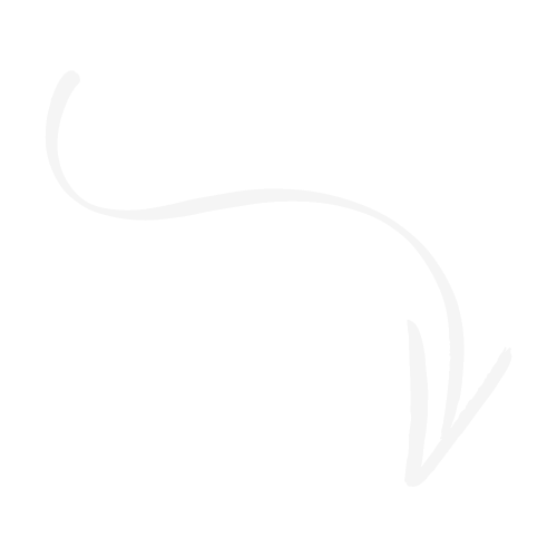 seta-sinuosa