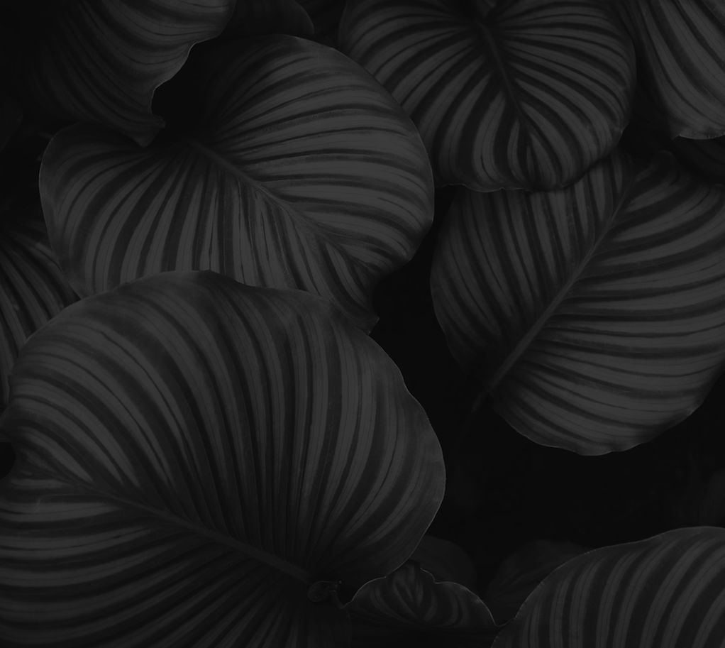 Green tropical leaf pattern_edited.jpg