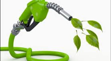 biodiesel 1.jpeg