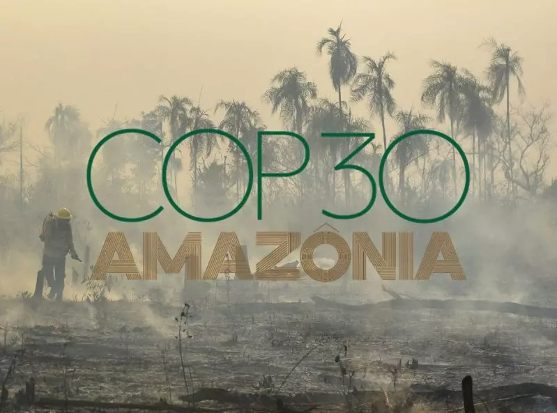 COP30 Belém: Desfecho Técnico dos Acordos Climáticos, Desafios de Infraestrutura e Oportunidades de Mercado em Sustentabilidade. Análise Completa.