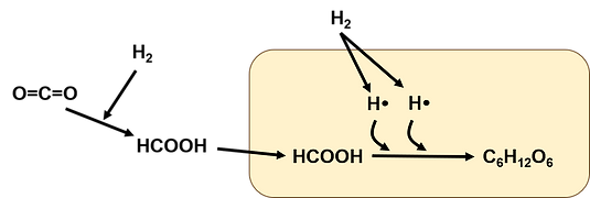 ギ酸資化菌CO2固定化.png