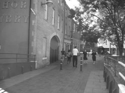 313966_10150370349861425_7649732_n