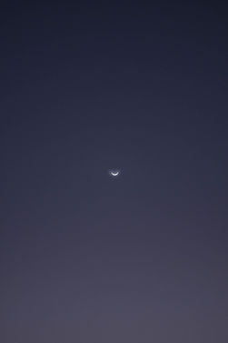 IMG_5342.JPG