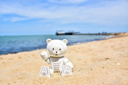 IMG_7986 2.JPG