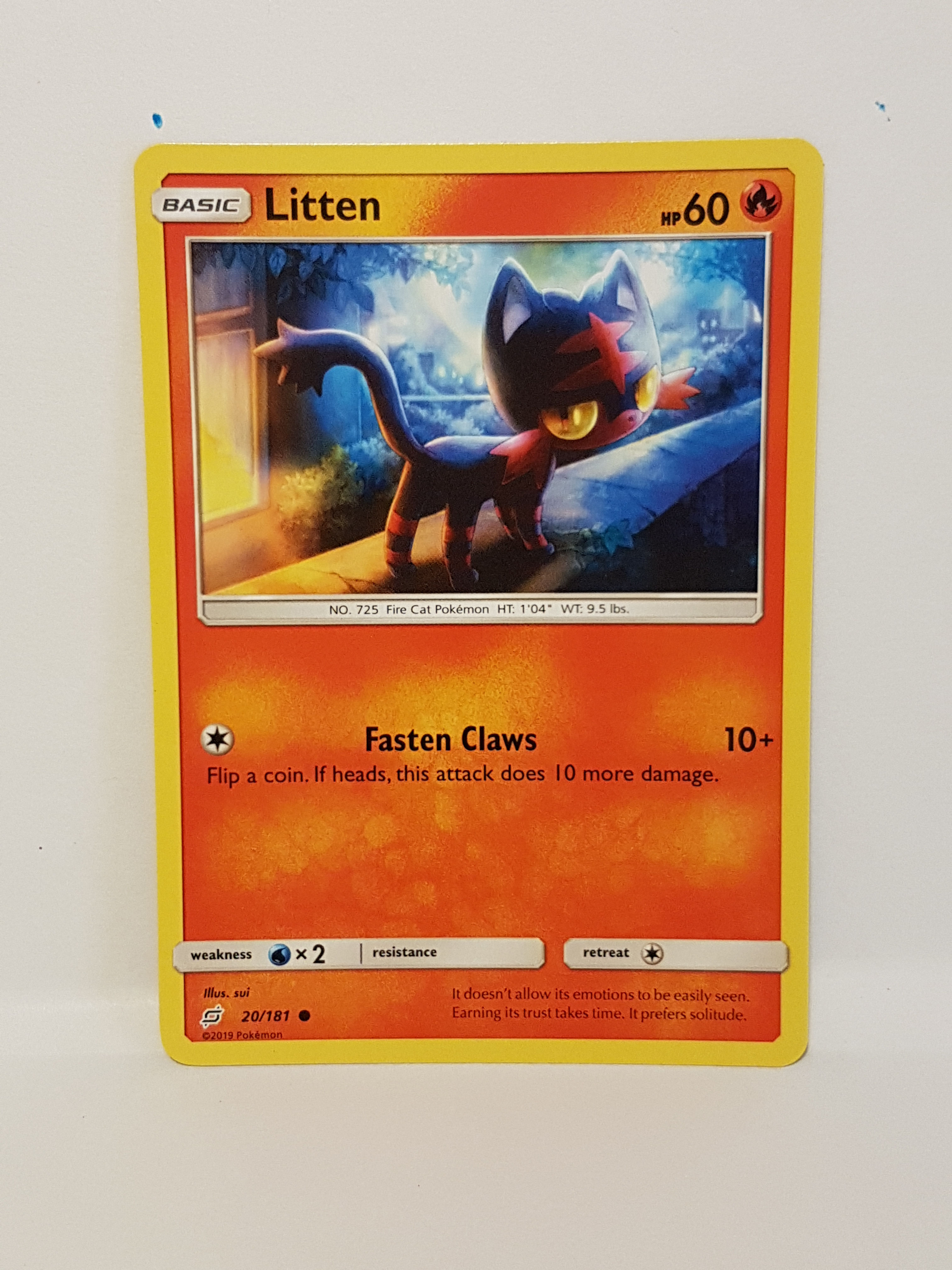20/181 Litten