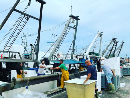 Il Delta laboratorio di un nuovo patto tra uomo e ambiente